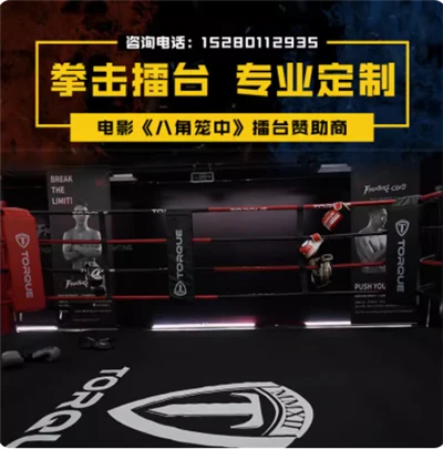 Octogone pour MMA