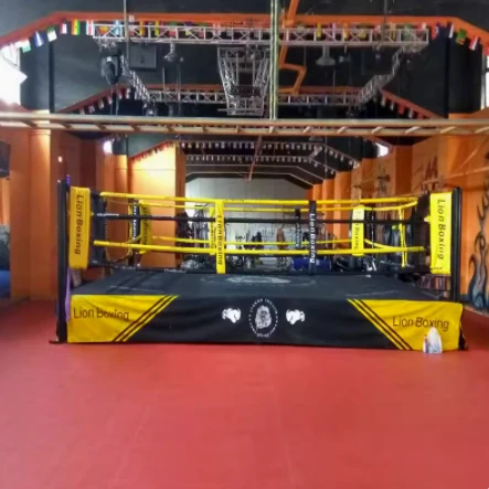 Tapis de boxe XPE